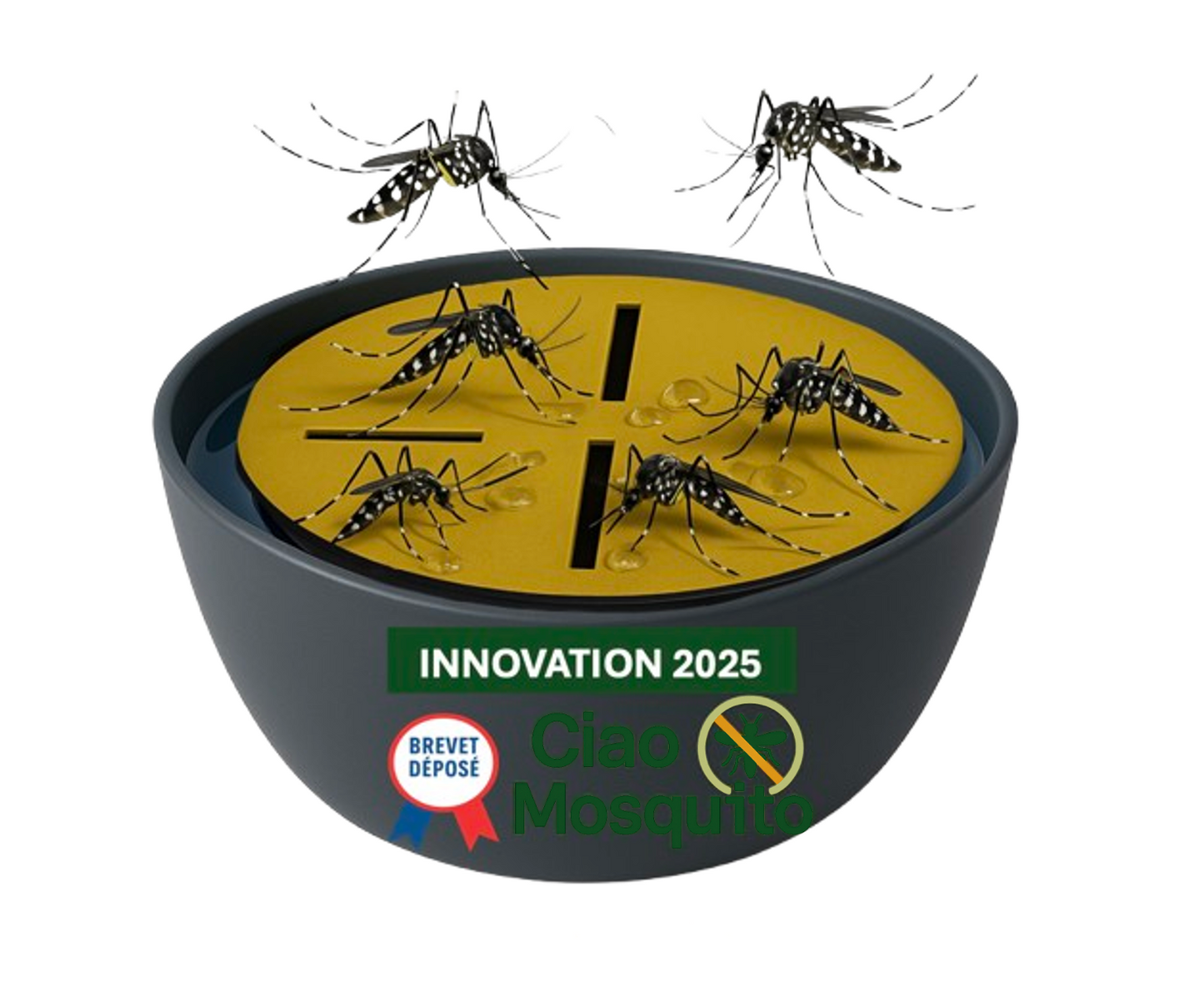 Ciao Mosquito® – Pièges Moustique Tigre & Larves pour intérieur | Anti Moustique Naturel, sans Insecticide | Réutilisable, sans Odeur | Salon, Chambre, Cuisine, Cave | Marque française