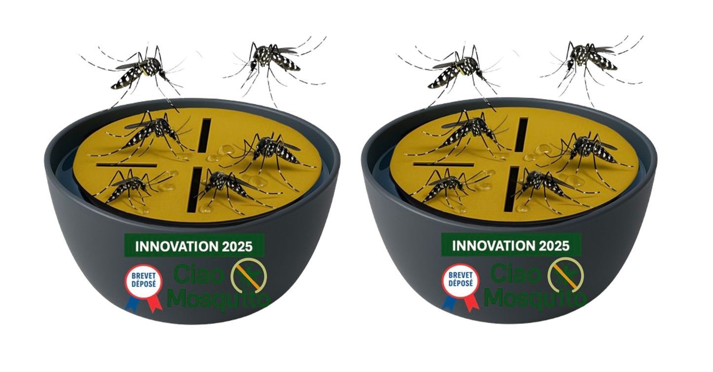 Ciao Mosquito® – Pièges Moustique Tigre & Larves pour intérieur | Anti Moustique Naturel, sans Insecticide | Réutilisable, sans Odeur | Salon, Chambre, Cuisine, Cave | Marque française