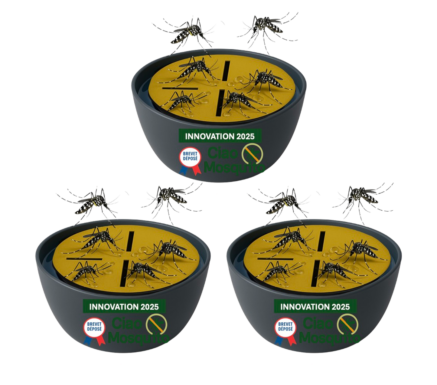 Ciao Mosquito® – Pièges Moustique Tigre & Larves pour intérieur | Anti Moustique Naturel, sans Insecticide | Réutilisable, sans Odeur | Salon, Chambre, Cuisine, Cave | Marque française