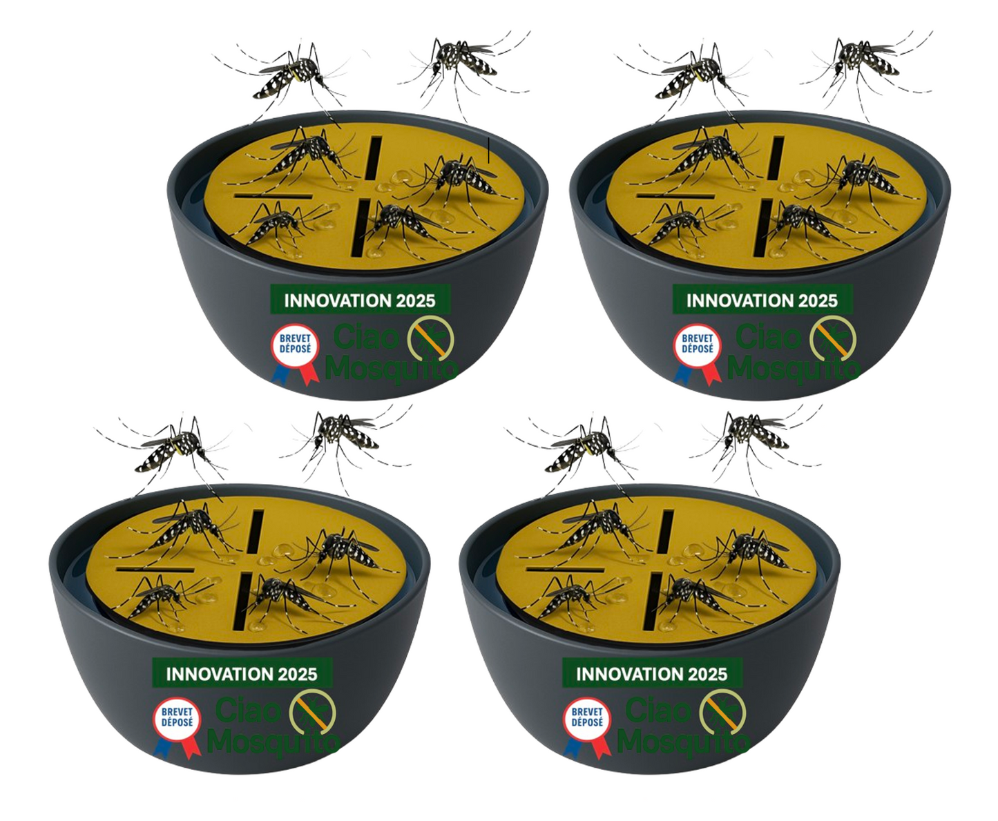 Ciao Mosquito® – Pièges Moustique Tigre & Larves pour intérieur | Anti Moustique Naturel, sans Insecticide | Réutilisable, sans Odeur | Salon, Chambre, Cuisine, Cave | Marque française