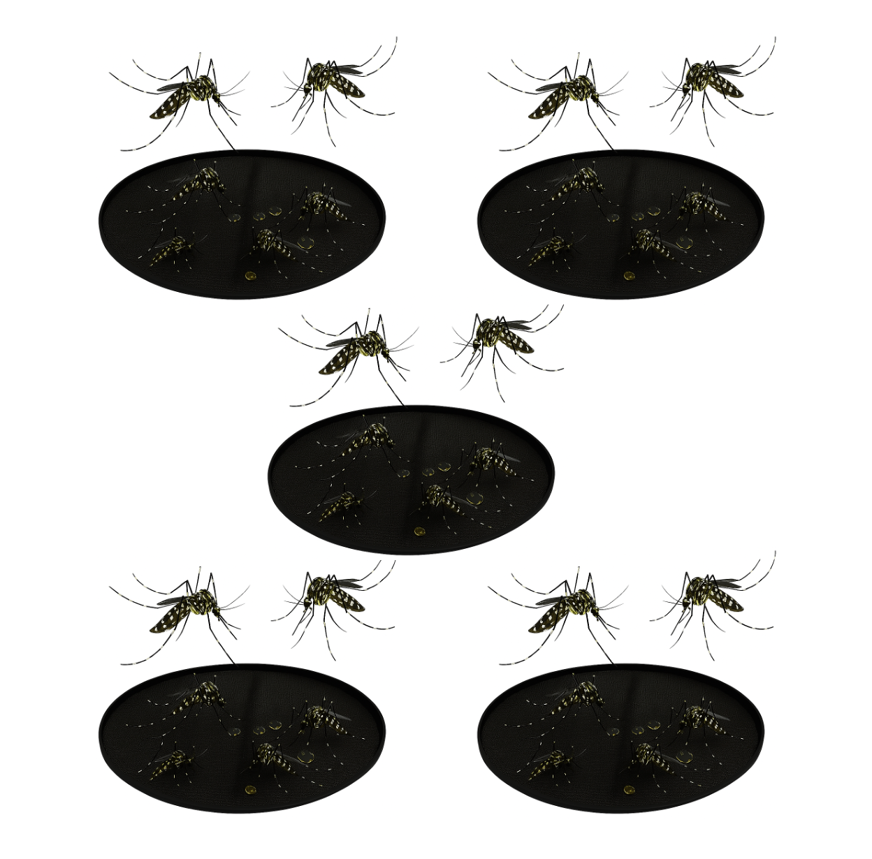 Piège à larves de moustiques écologique Ciao Mosquito – sans insecticide, réutilisable, à poser sur l’eau pour bloquer le cycle de reproduction des moustiques.NEW