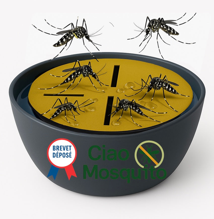 Piège à moustiques autocollant Ciao Mosquito avec moustiques capturés, posé sur table en extérieur, solution sans insectici
