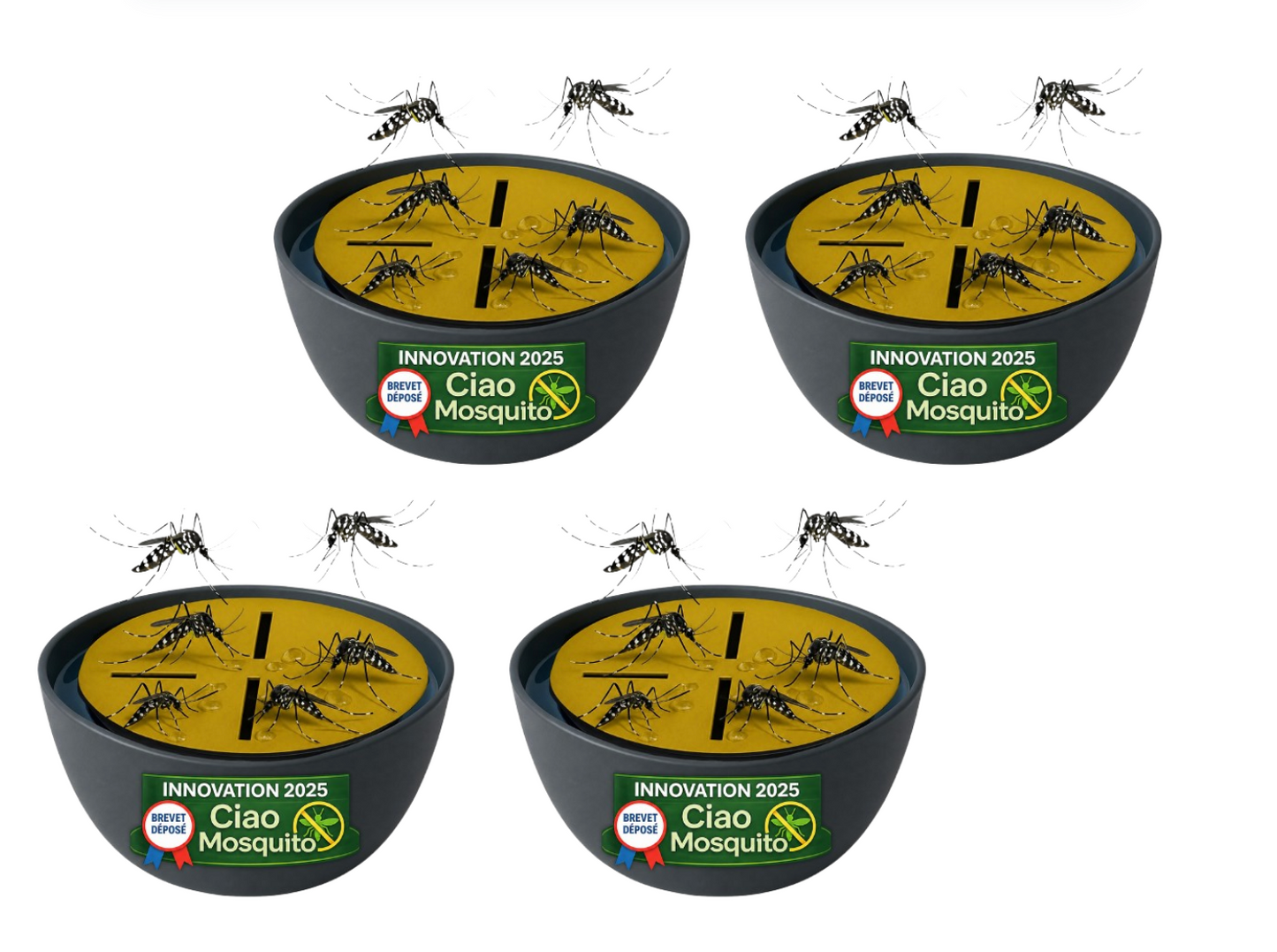 Ciao Mosquito® – Tiger Mosquito & Larva Traps for Indoor Use | Natural Mosquito Repellent, Insecticide-Free | Reusable, Odorless | Living Room, Bedroom, Kitchen, Basement | French Brand 