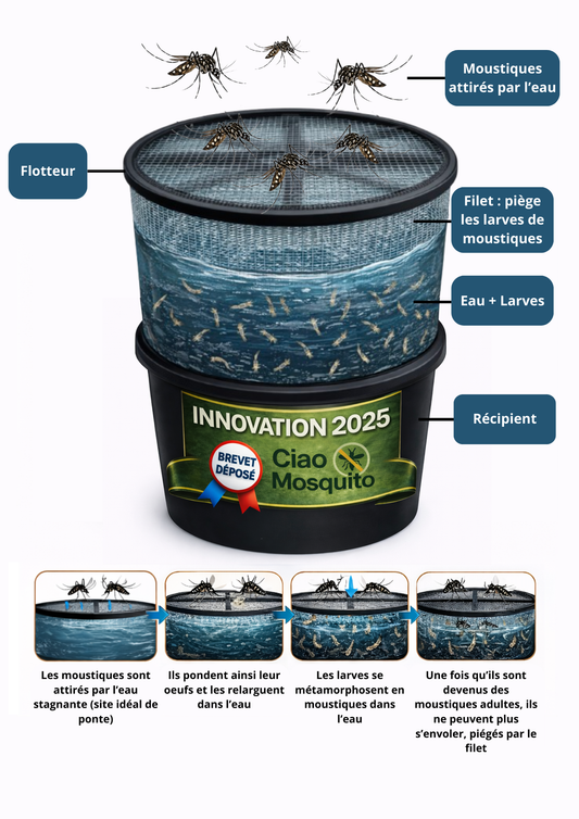 Schéma explicatif du piège à larves de moustiques Ciao Mosquito montrant le fonctionnement du système écologique anti moustique tigre pour eau stagnante.