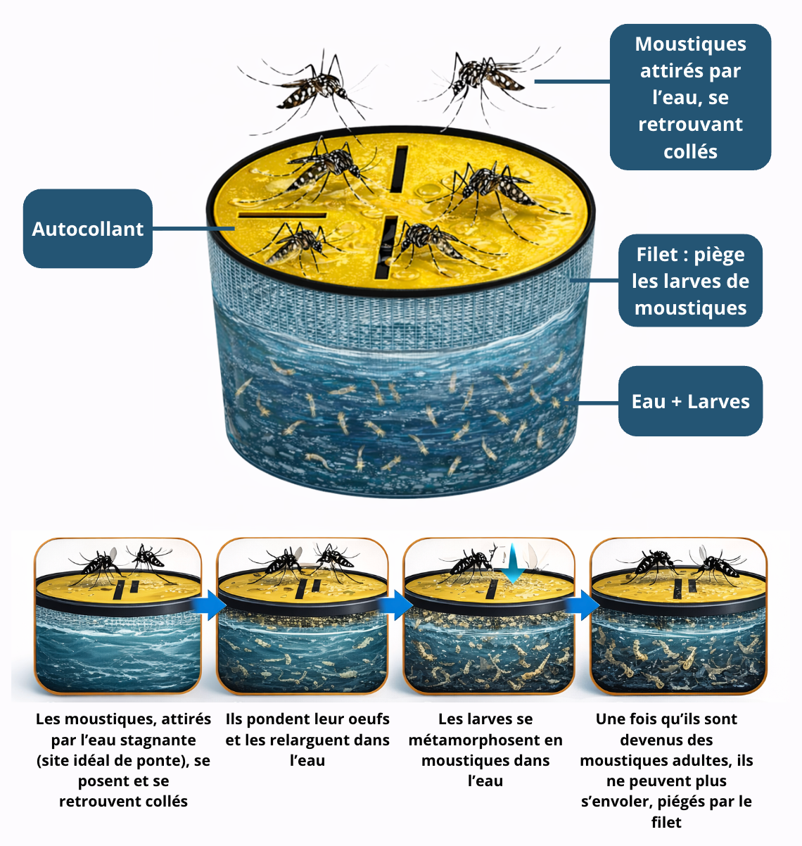 Piège à moustique avec un récipient Ciao Mosquito