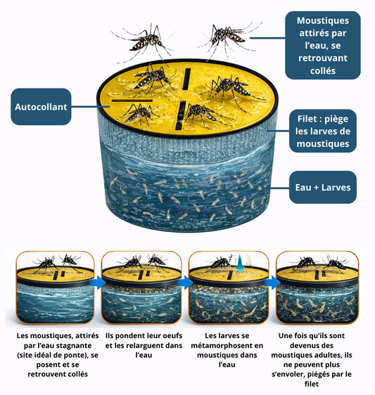 Piège à moustique avec un récipient Ciao Mosquito