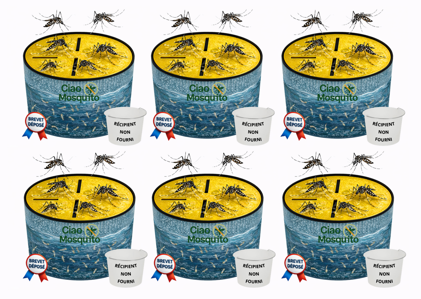 Piège à moustique avec un récipient Ciao Mosquito