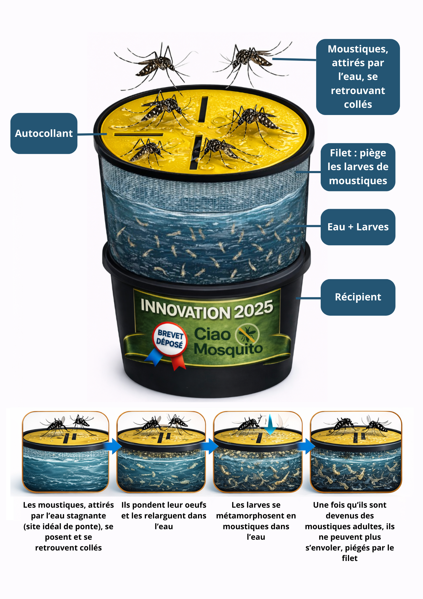 Schéma explicatif du fonctionnement du piège moustique écologique Ciao Mosquito montrant l’élimination des larves et moustiques tigres dans l’eau stagnante.