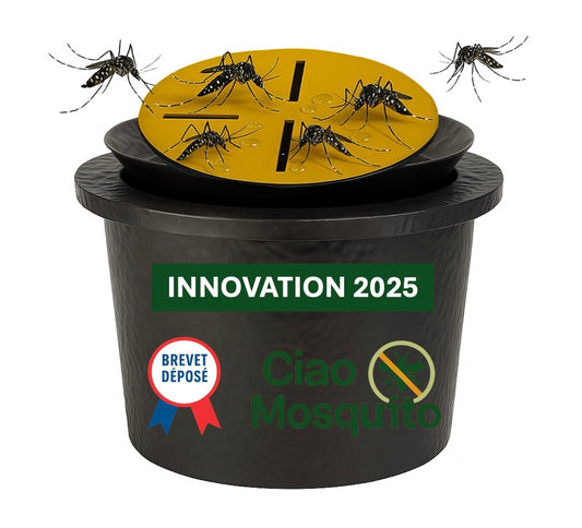 Piège autocollant à moustiques Ciao Mosquito, innovation 2025, positionné dans un jardin naturel contre les moustiques tigres NEW